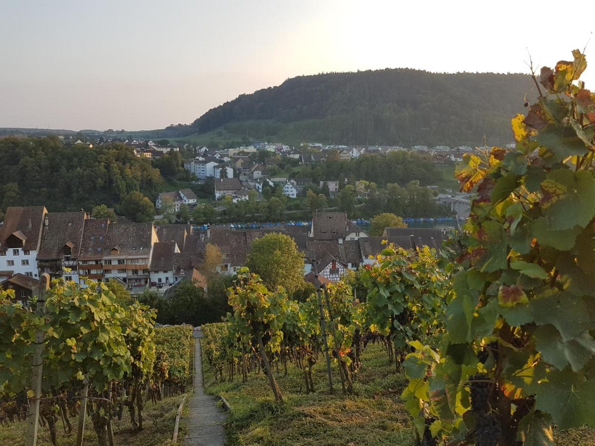 Rhii B&B Eglisau Exteriér fotografie